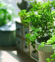 黄山专属于你的开运指南，助你鸿运当头福满身！