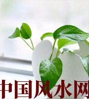 黄山家中摆放六种吉祥物，会打开您的财运大门！